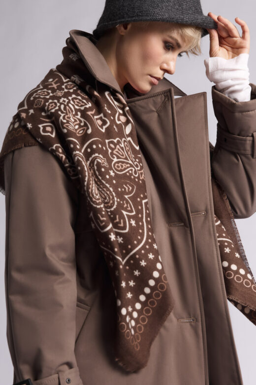 Платок: Н201 (Пейсли Коричневый-6)